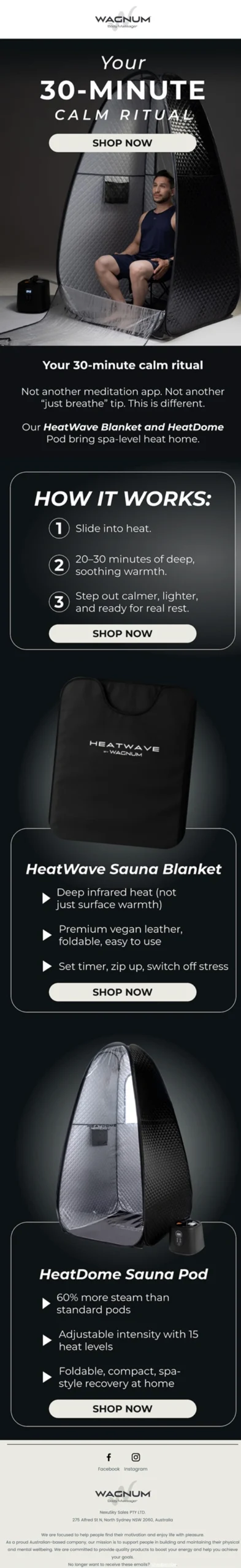 Your Proactive Media Email Design 21 with Wagnum